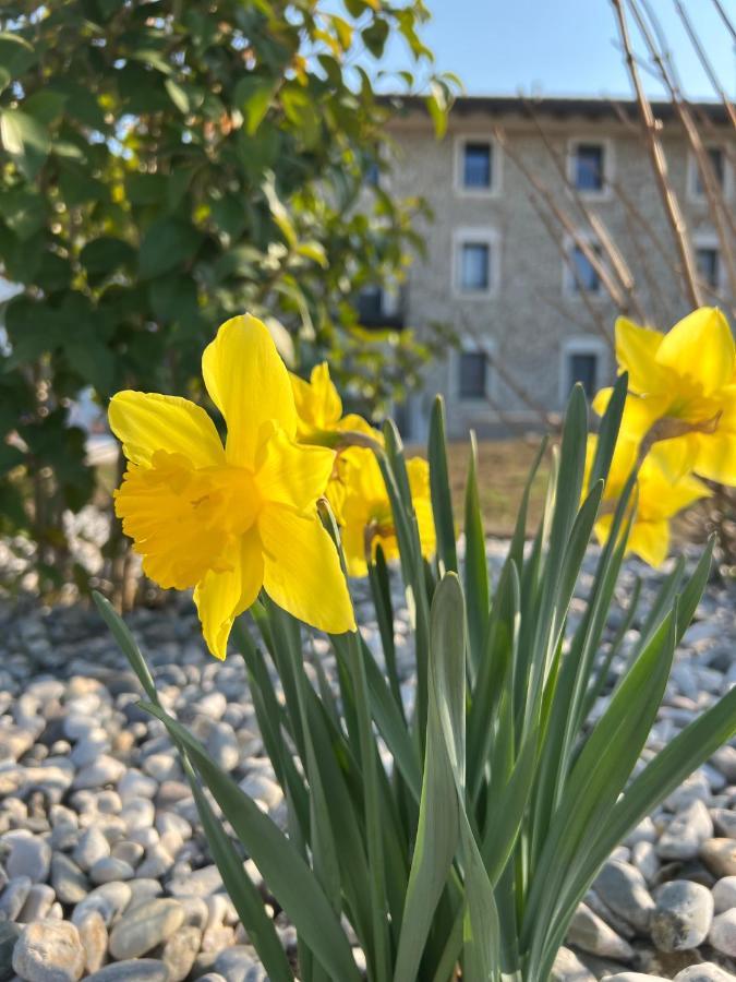 Hotel Atmosfere Charme & Country Borgo San Mauro Exterior foto